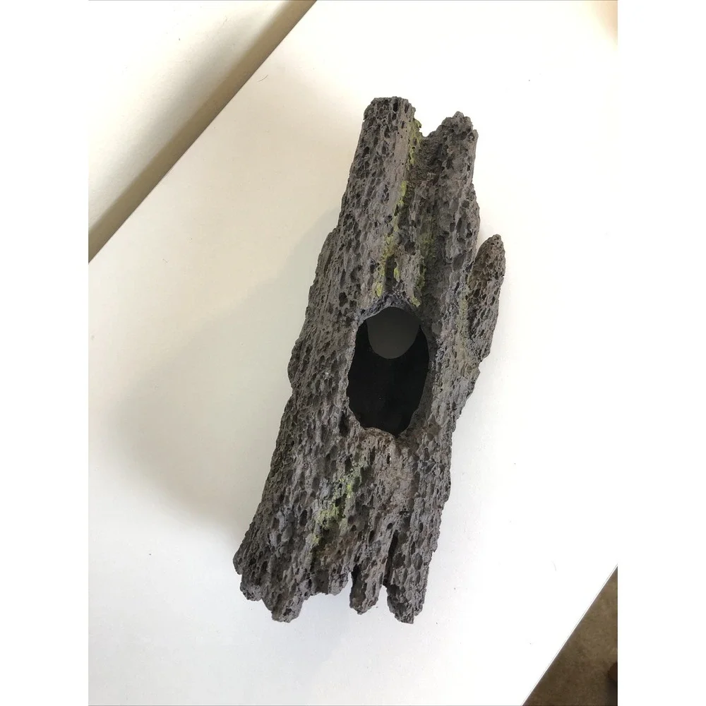 Aquarium Driftwood Log Cave, Barrel Cave and Seashell Decorations Ornaments
